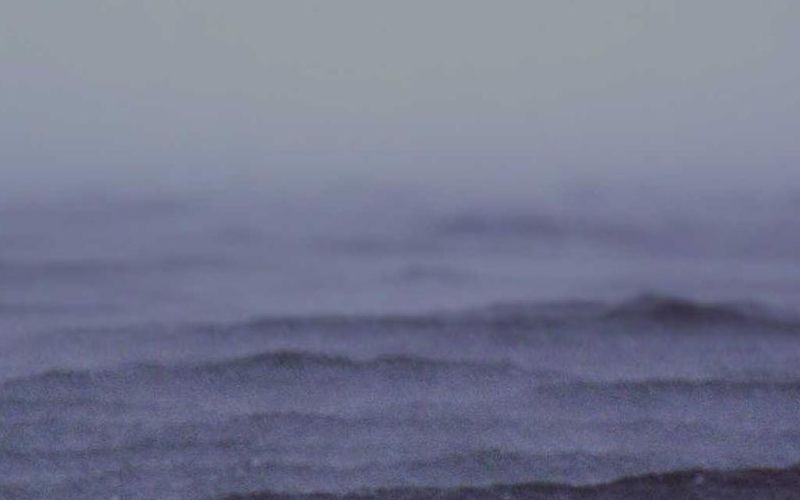 There was a real Turtle.' These.